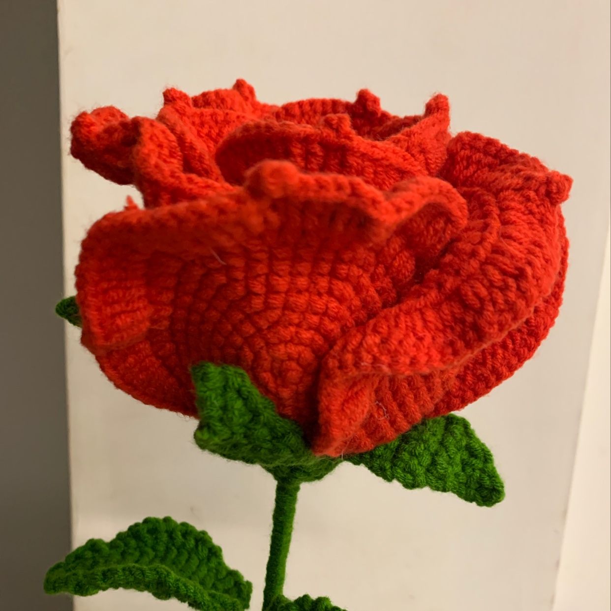 Thai rose details Picture