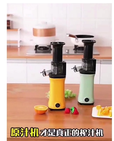Electric juicer - Plug-in model