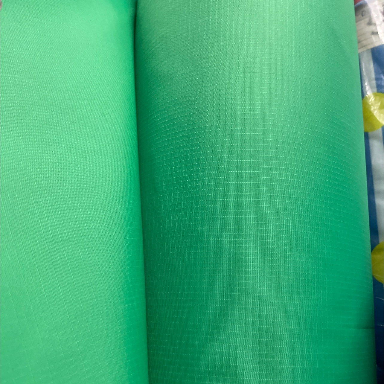 牛津格子绿色/现货细节图
