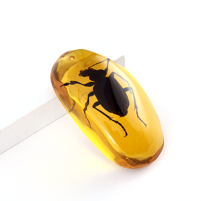 琥珀昆虫吊坠白底实物图