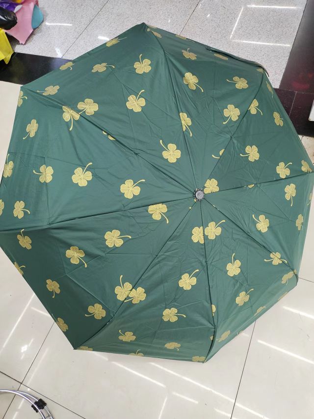 花蝴蝶雨伞