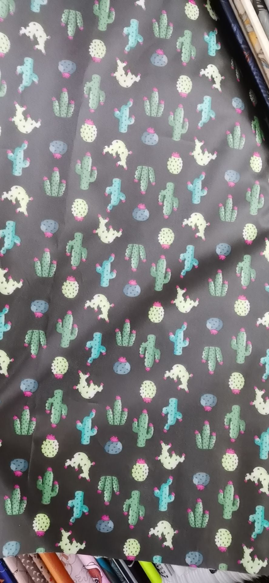 Cactus