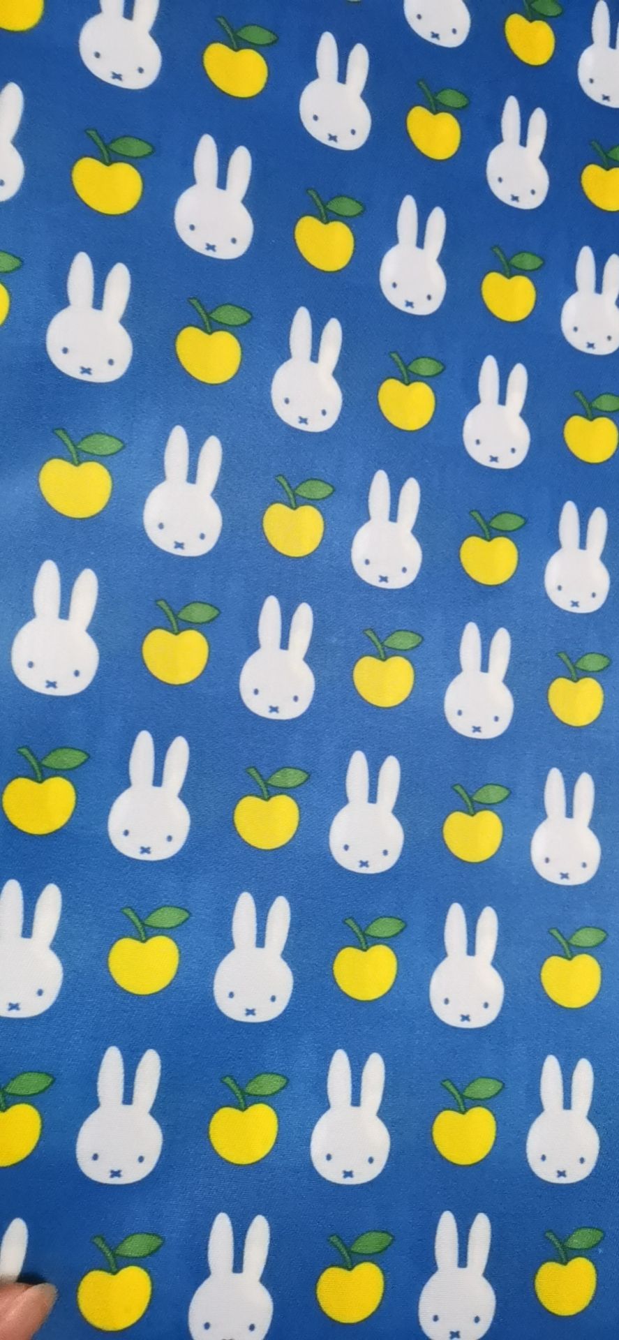 Fruit rabbit