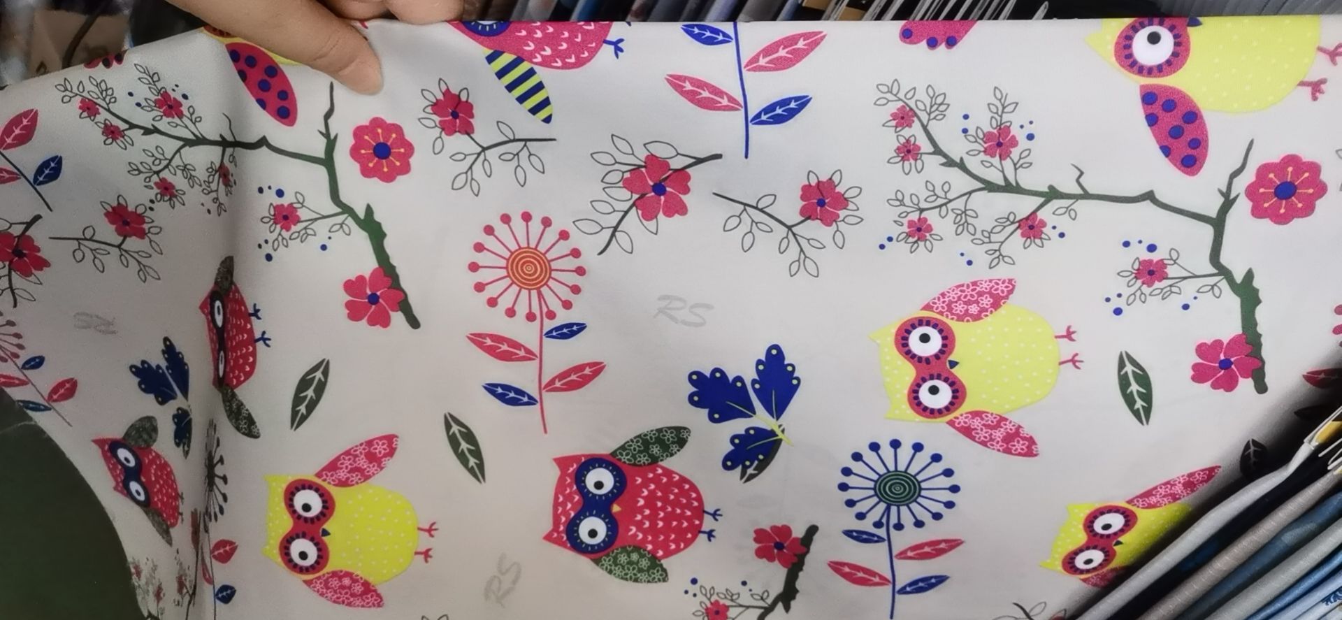 Owl