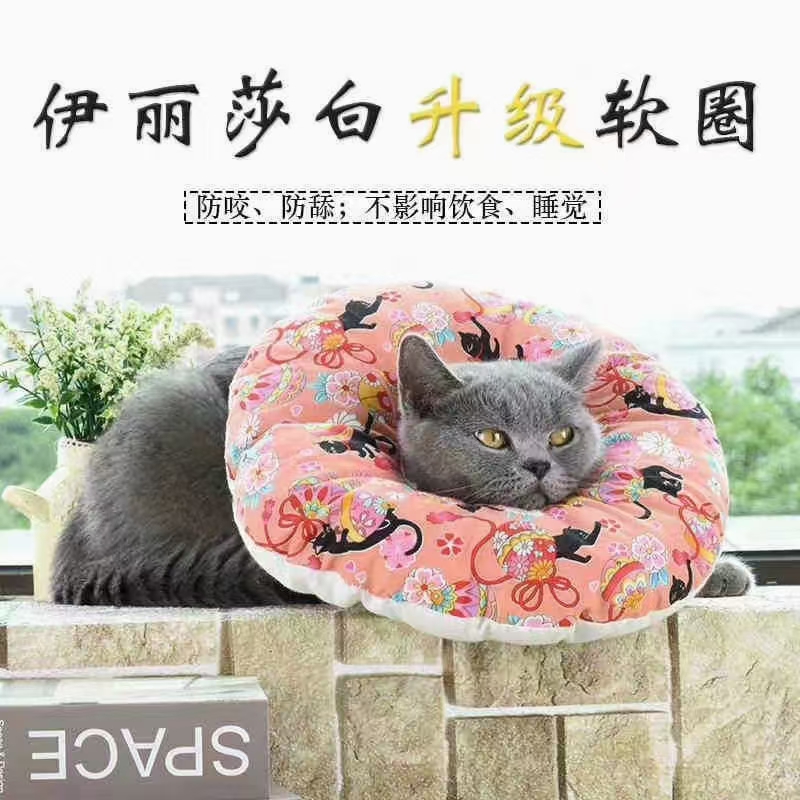 宠物萌萌圈/伊丽莎白圈/宠物用品脖套白底实物图