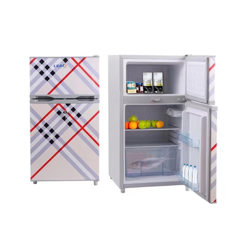 LEAP Solar Refrigerator Interior Spacious Layout