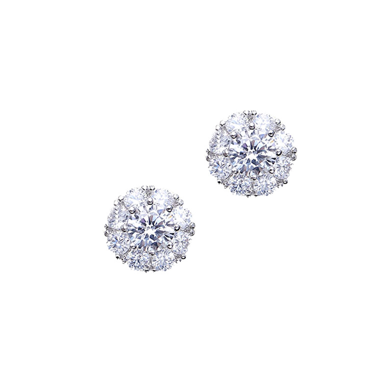 s925 Silver Needle Douyin women's Zircon geometric earrings with rotating stud earrings Application Scenario