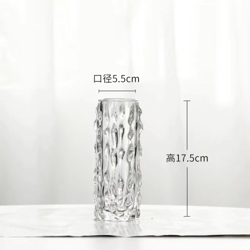 Chu Guang Glass Crystal Glass Vase, home decoration Glass vase, Hydroponic Vase, Sea Cucumber Vase Specification image