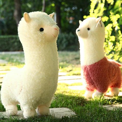 Alpaca no. 1 🦙 Alpaca cute figurine, divine beast grass mud horse plush toy, pillow doll, doll, birthday gift for a girlish friend Application Scenario
