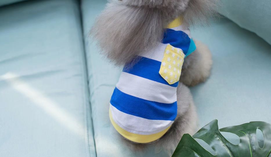 宠物条纹套头衫
​【尺寸齐全，纯棉质地】
​发起来吧，全年都非常适合的一个T恤款式详情图8