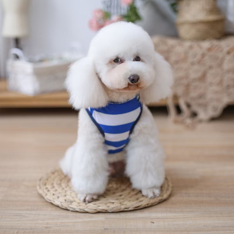 宠物条纹套头衫
​【尺寸齐全，纯棉质地】
​发起来吧，全年都非常适合的一个T恤款式详情图13