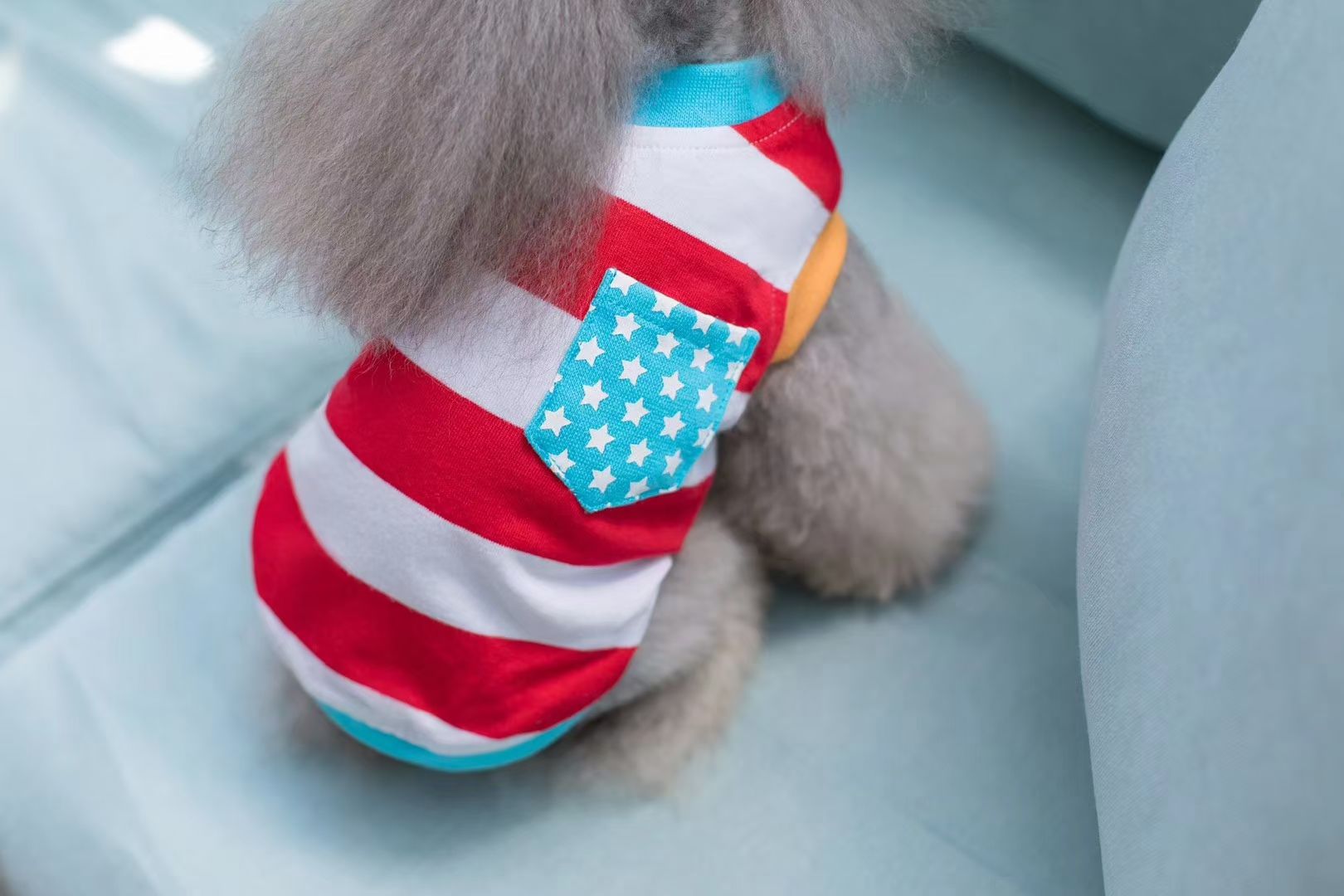 宠物条纹套头衫
​【尺寸齐全，纯棉质地】
​发起来吧，全年都非常适合的一个T恤款式详情图5