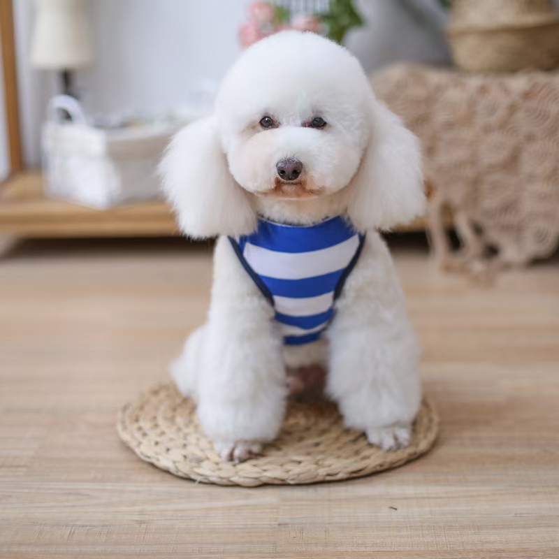 宠物条纹套头衫
​【尺寸齐全，纯棉质地】
​发起来吧，全年都非常适合的一个T恤款式详情图12