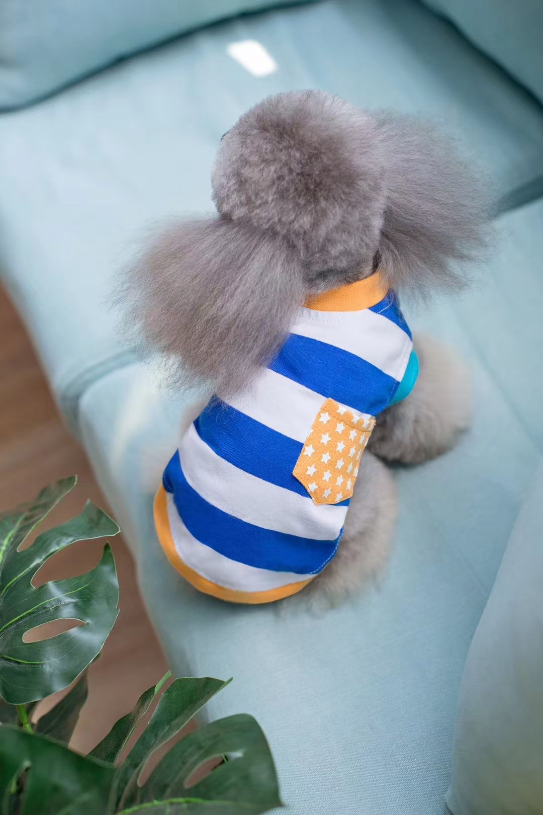 宠物条纹套头衫
​【尺寸齐全，纯棉质地】
​发起来吧，全年都非常适合的一个T恤款式详情图6