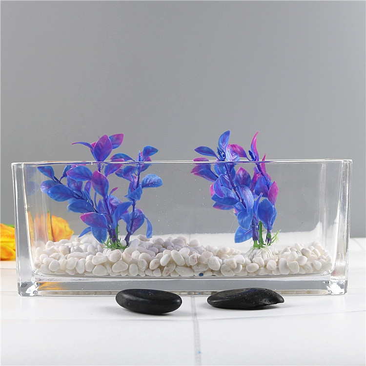 والمزهرية الزجاجية الشفافة المستطيلة الشكل هي عبارة عن قطعة من العشب النحاسي النحاسي في حوض السمك detail image 3