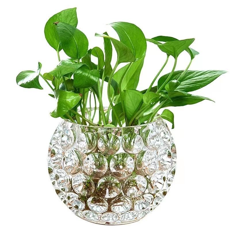 وعاء وعاء زجاجي خلاق مزود بمياه وعاء زجاجي خلاق detail image 2