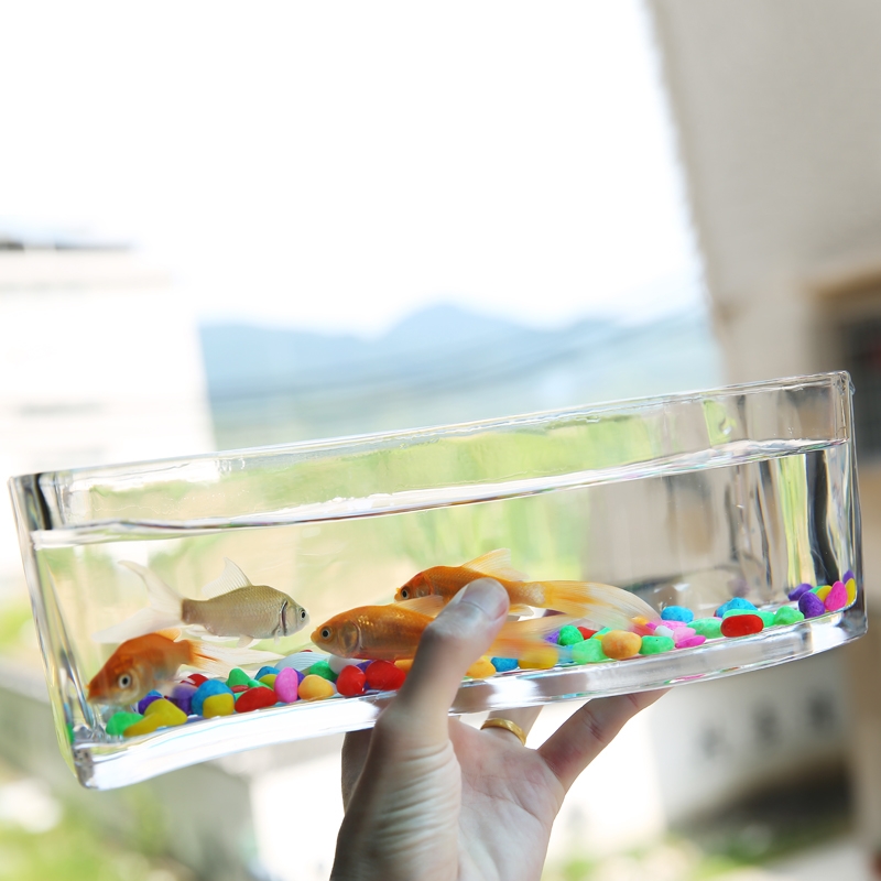 创意长方形玻璃鱼缸加厚小型桌面迷你缸斗鱼孔雀鱼缸家用客厅水培详情图5