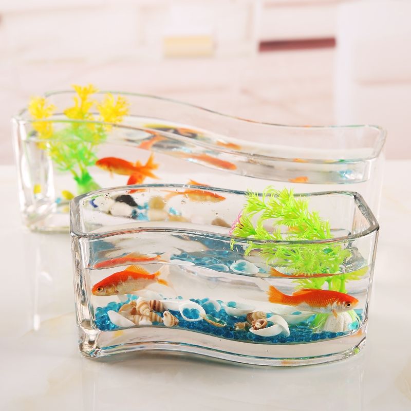 创意长方形玻璃鱼缸加厚小型桌面迷你缸斗鱼孔雀鱼缸家用客厅水培详情图2