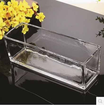والمزهرية الزجاجية الشفافة المستطيلة الشكل هي عبارة عن قطعة من العشب النحاسي النحاسي في حوض السمك Item Picture