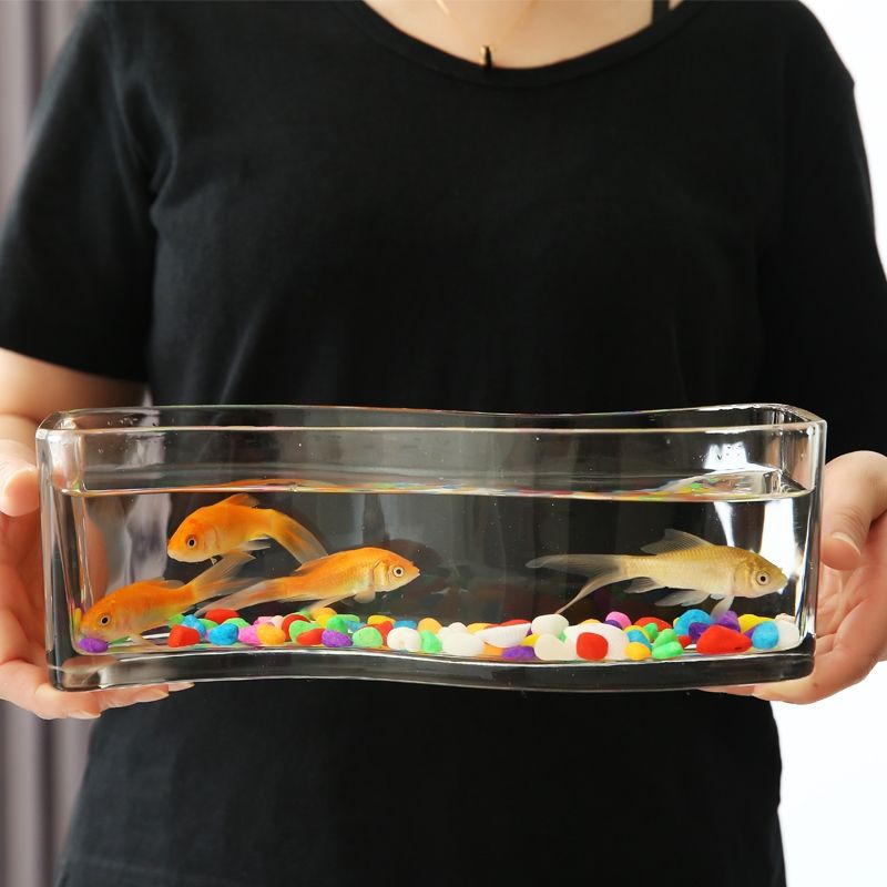 创意长方形玻璃鱼缸加厚小型桌面迷你缸斗鱼孔雀鱼缸家用客厅水培详情图4
