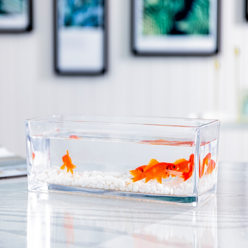 长方形透明玻璃花瓶现代简约鱼缸客厅桌面摆件多肉水培睡莲铜钱草图