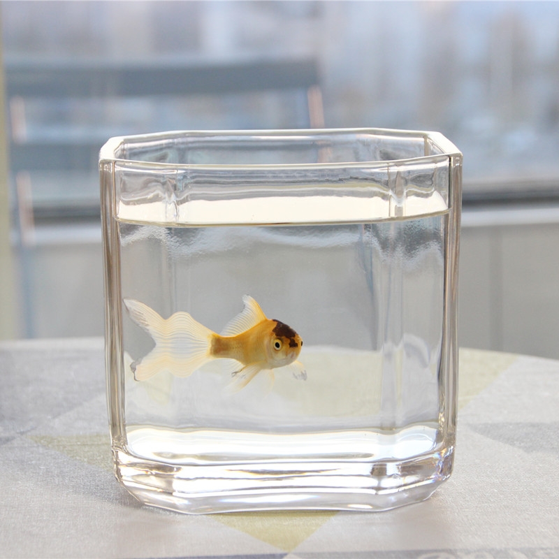 小鱼缸透明方形玻璃金鱼缸乌龟缸创意八角办公室桌面加厚迷你方缸详情图3