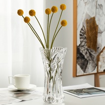 透明 白菜/凤尾/玻璃花瓶 富贵竹插花瓶台面花器