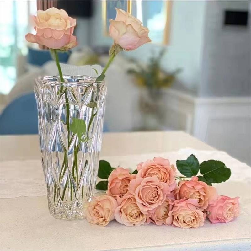 مزهرية زجاجية سميكة ذات ألواح الكريستال المصنوعة من الألواح المعدنية المبدعة الأوروبية Item Picture