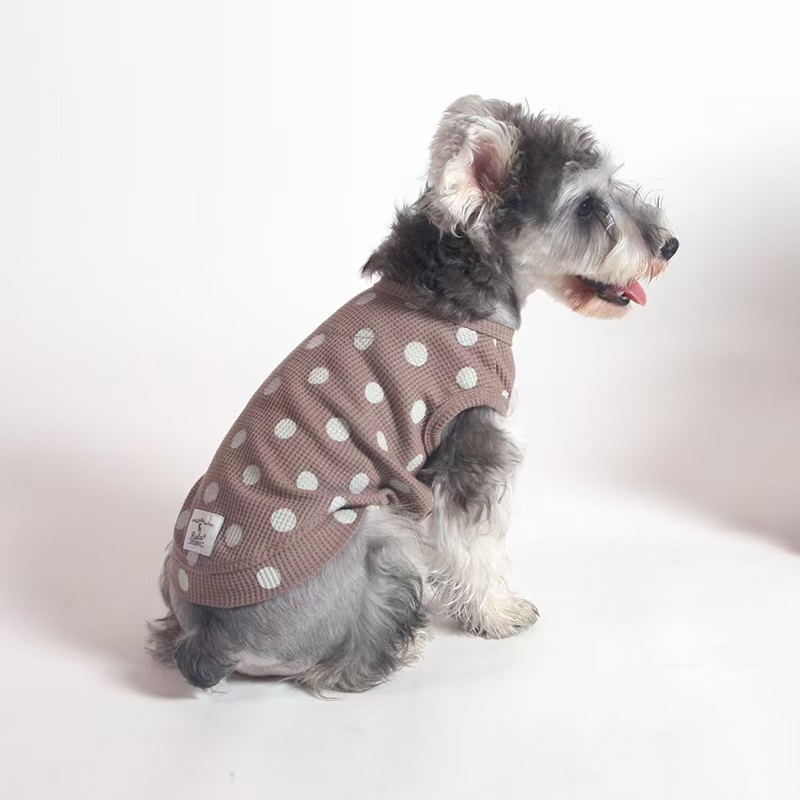 宠物用品衣服/宠物新款秋装/宠物狗狗服装产品图