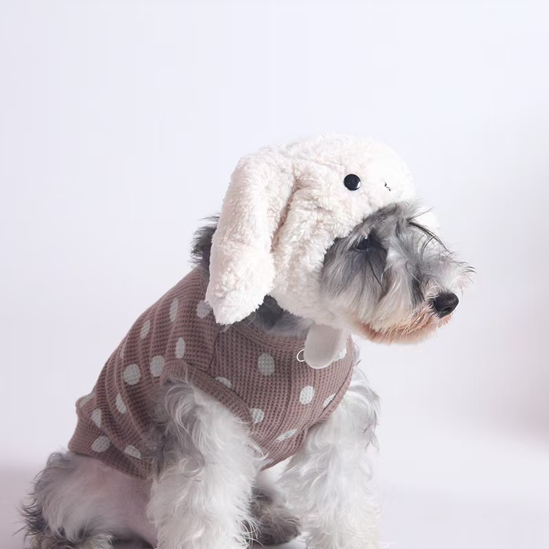 宠物用品衣服/宠物新款秋装/宠物狗狗服装白底实物图