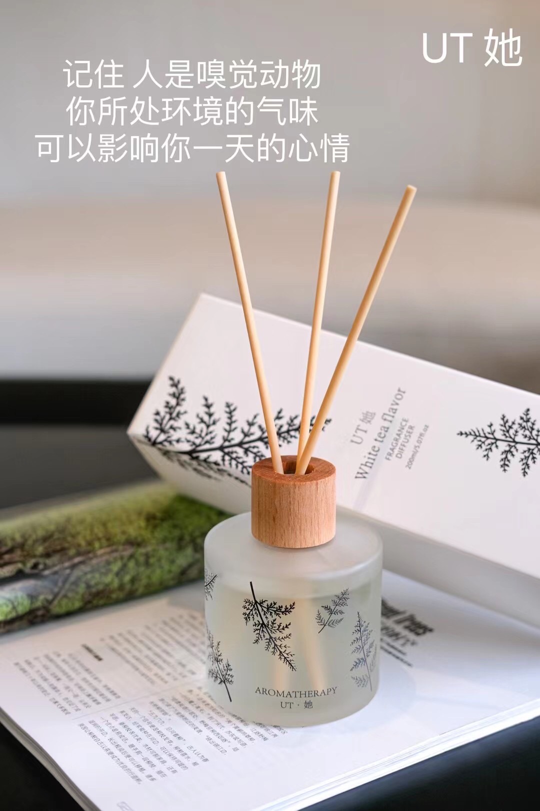 Ut She Uta Authentic White Tea Flower Aromatherapy details Picture
