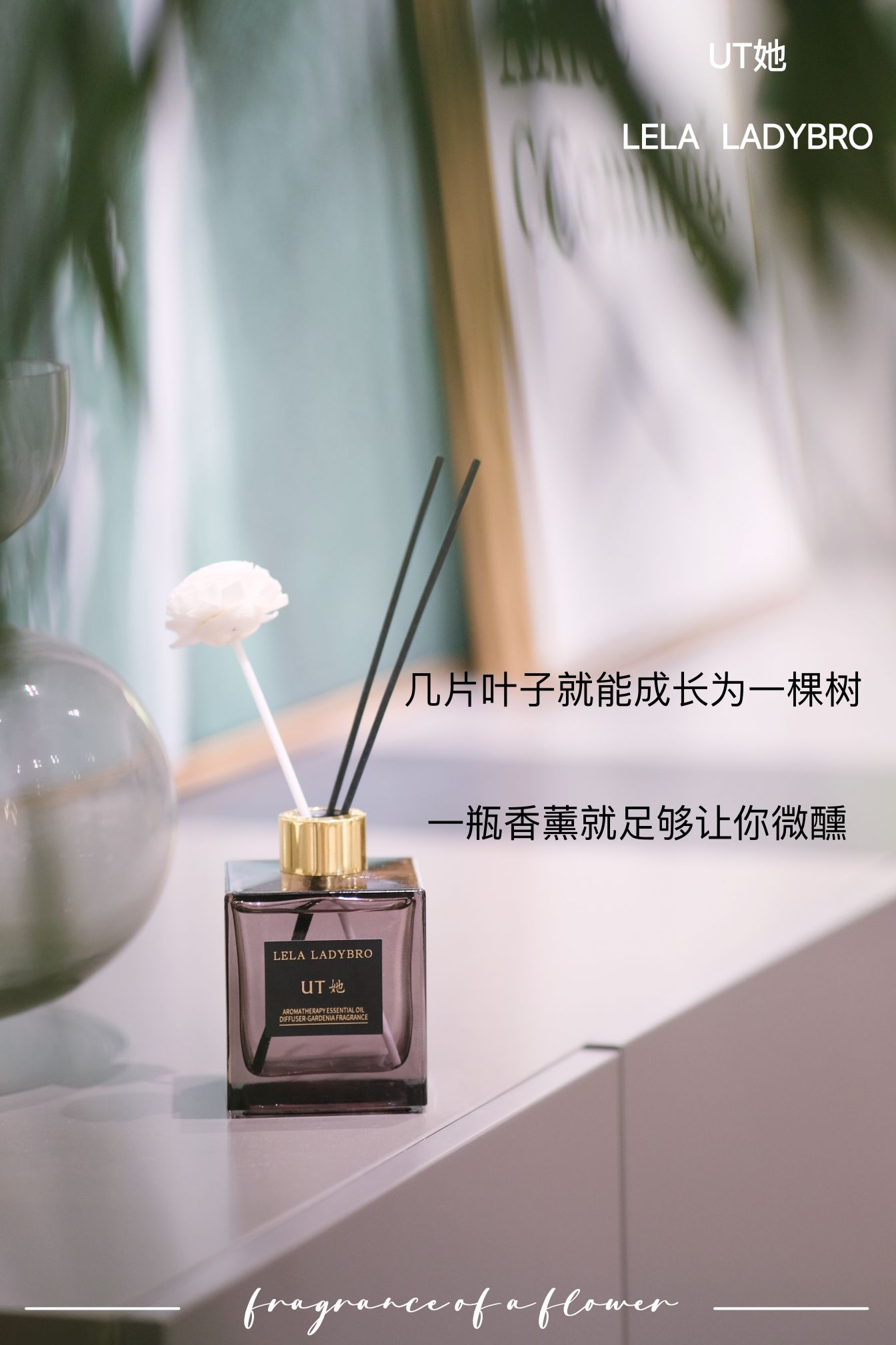 Ut Her Gardenia Fragrance! Genuine Guarantee! Large Private Chat! Item Picture