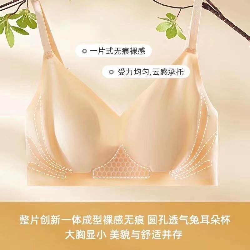 无钢圈文胸实物图