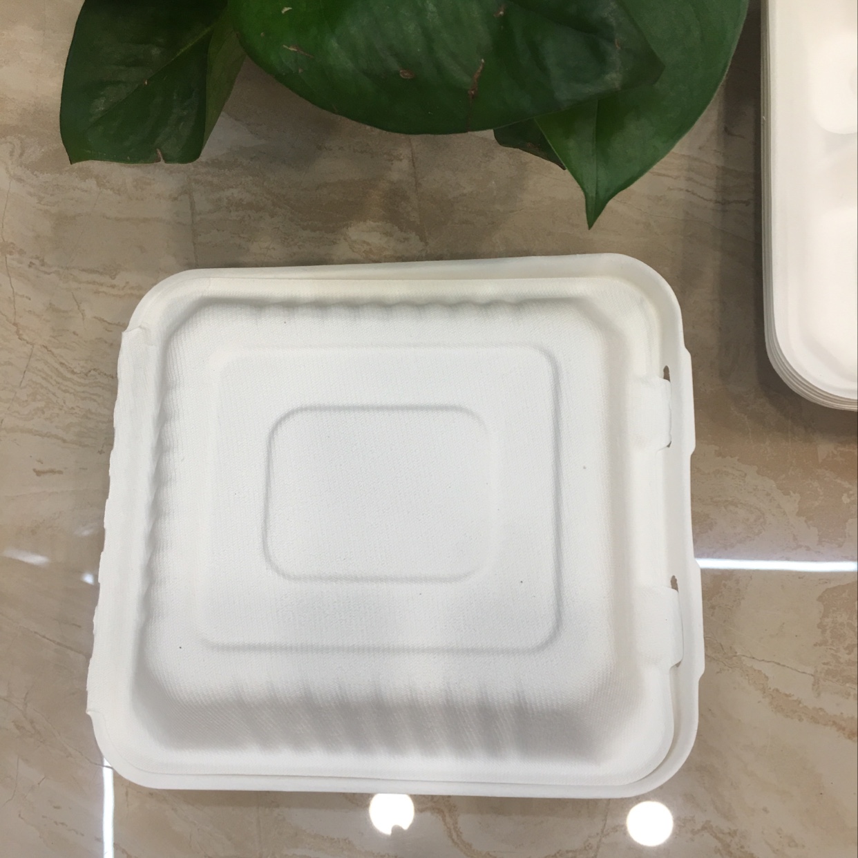 纸碗/一次性稻壳碗/派队纸质盘子/彩色塑料餐盘/塑料ps餐盘10寸产品图