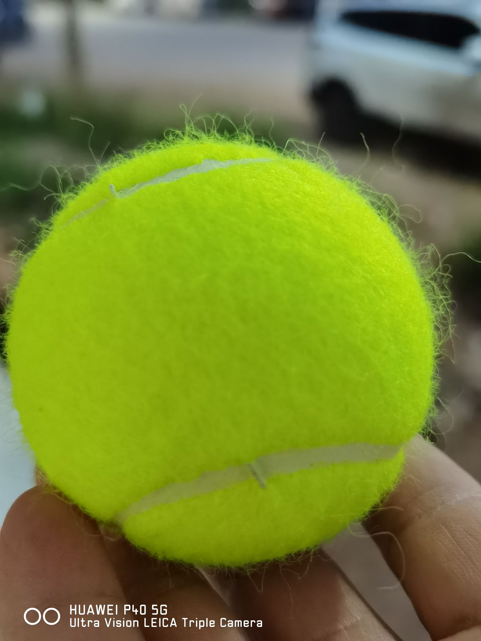 高级训练网球 羊毛网球详情图7