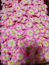 软陶鸡蛋花，手工制作，颜色亮丽，仿真花