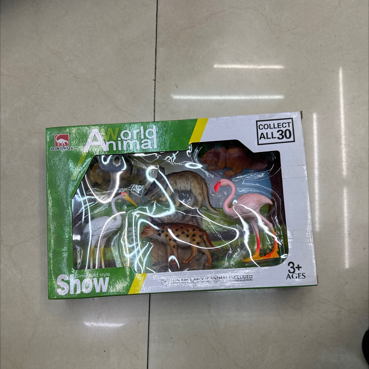 6只野生动物模型展示盒混色混款动物展示盒动物  动物盒装  野生动物模型 环宇玩具 pvc 1