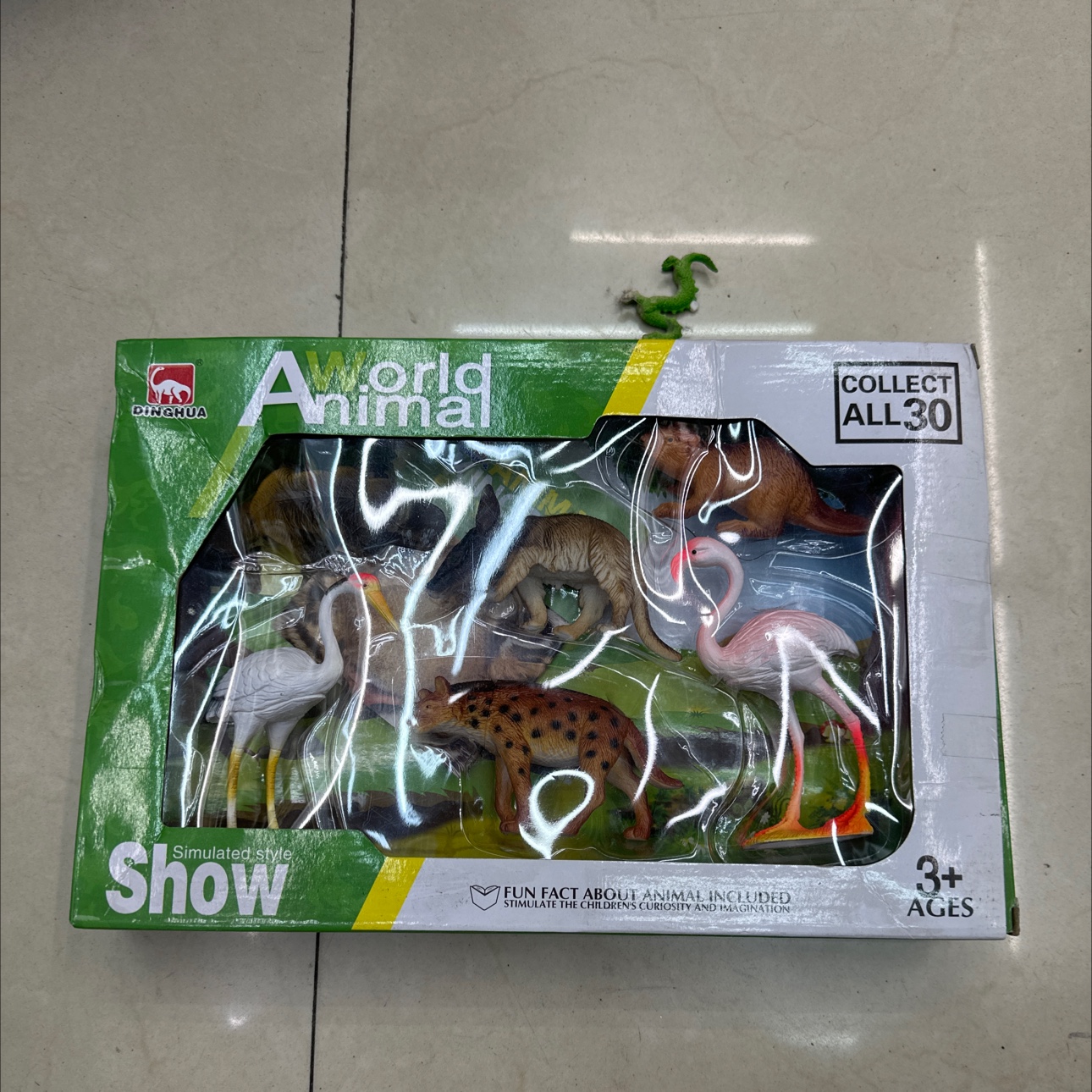 6只野生动物模型野生动物展示盒混装动物盒装  展示盒动物  野生动物模型 环宇玩具 pvc 1