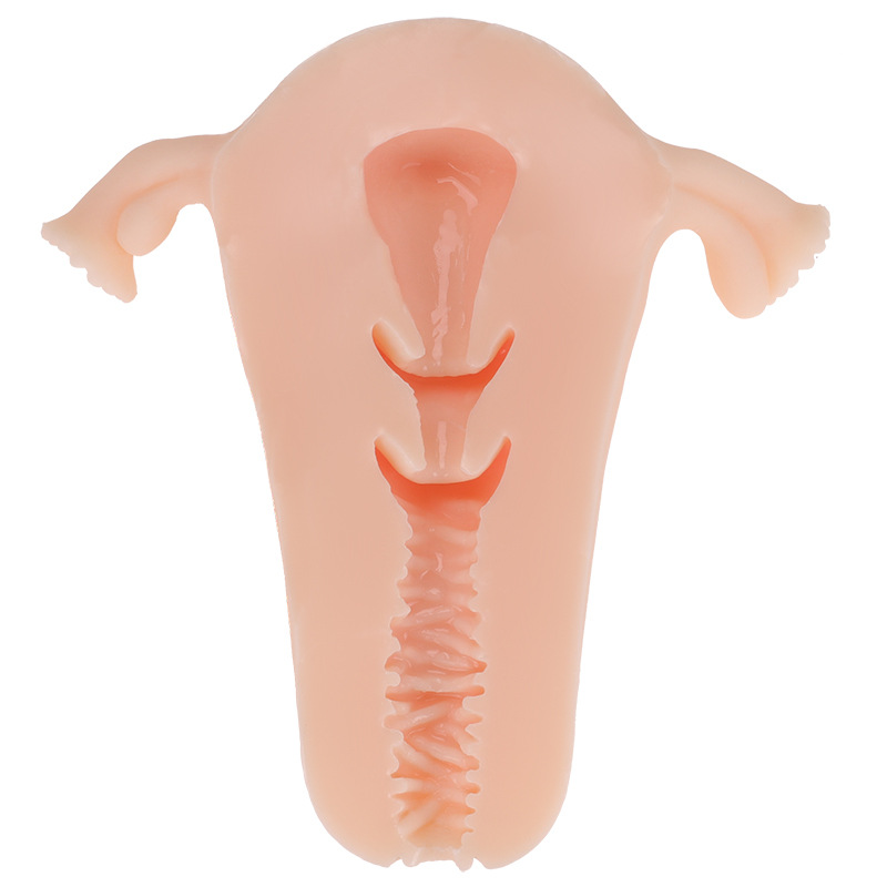 女性生殖器/倒膜名器/情趣用品批发白底实物图