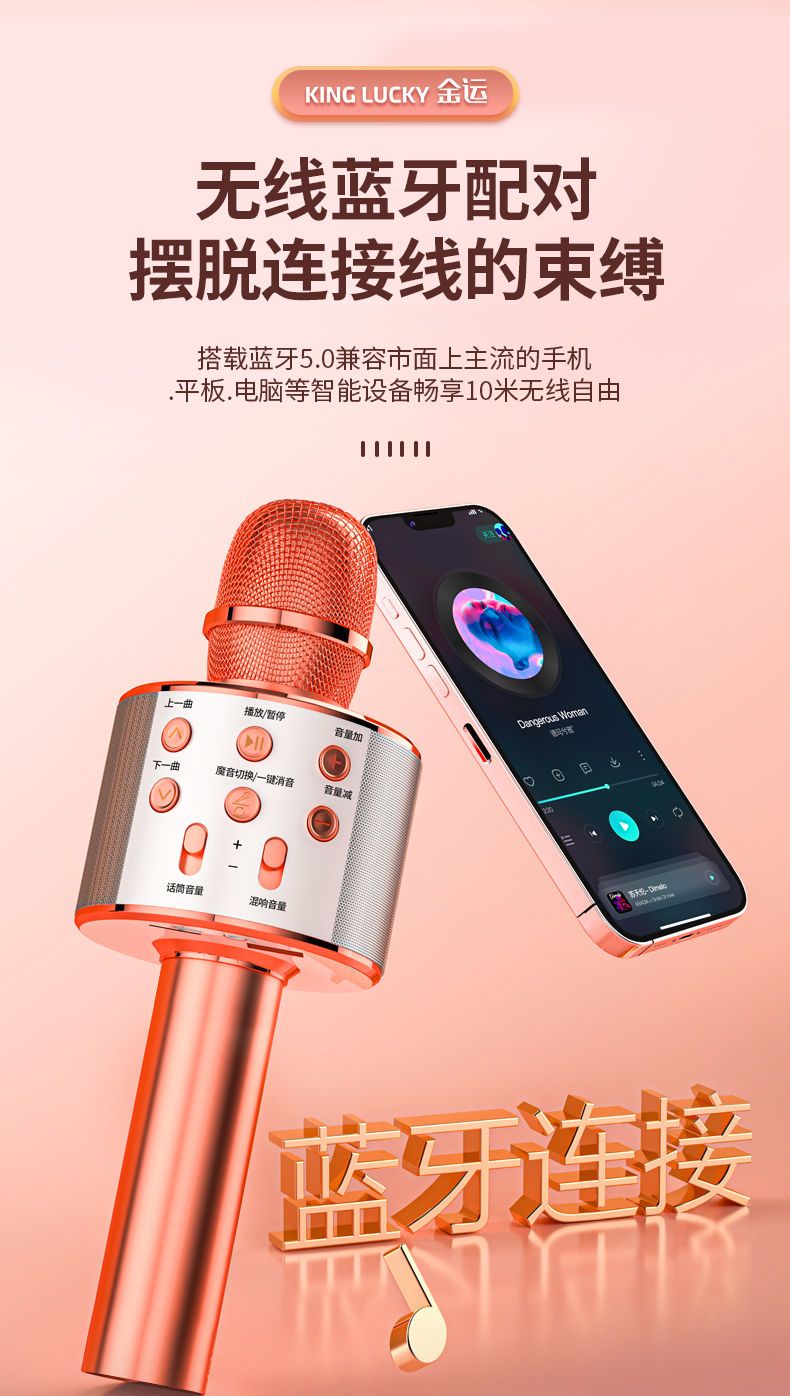 专业音响实物图