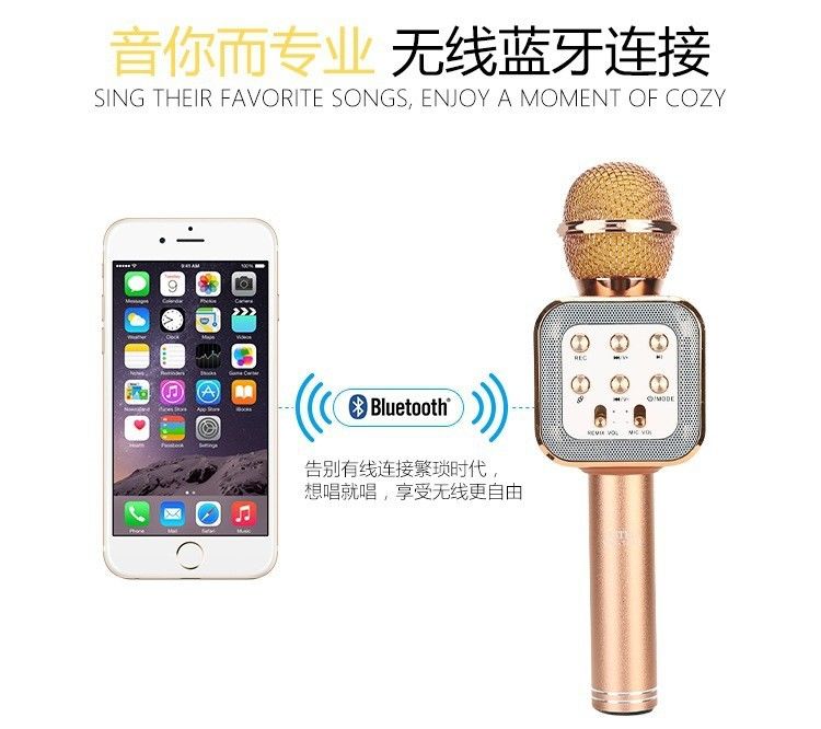 1818 microphone Item Picture