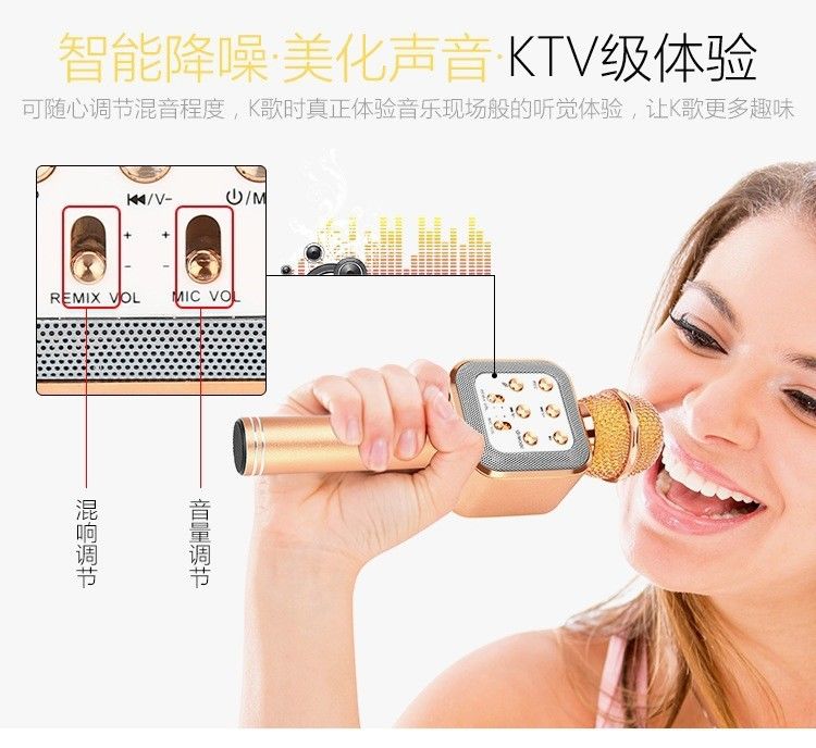 1818 microphone Specification image