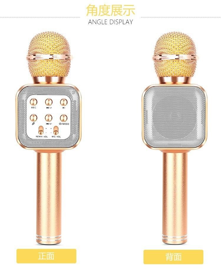 1818 microphone details Picture