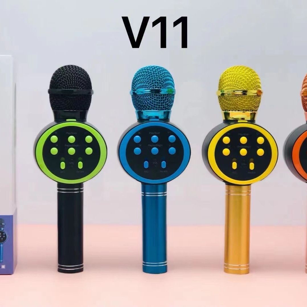 DS-v11 details Picture