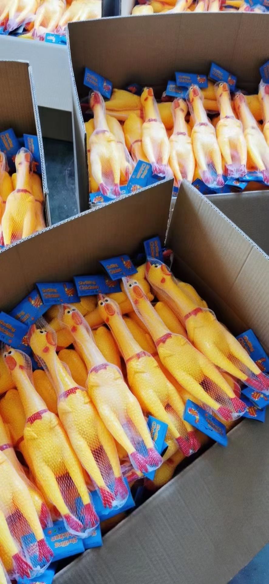 31公分惨叫鸡图