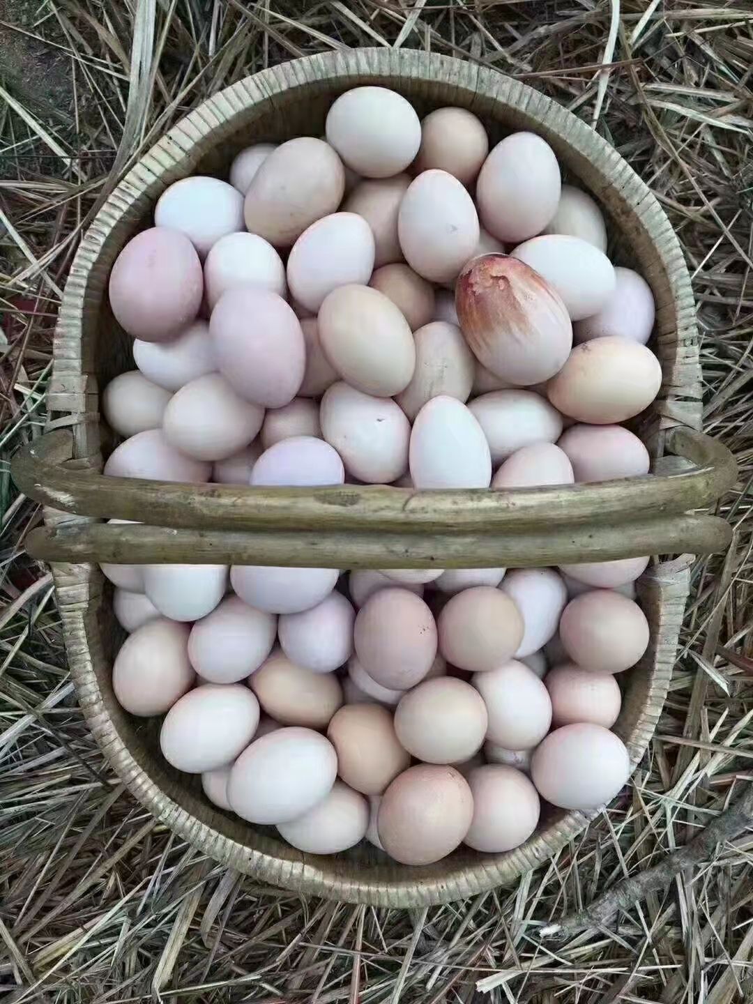 “鲍坞牌”土鸡蛋图