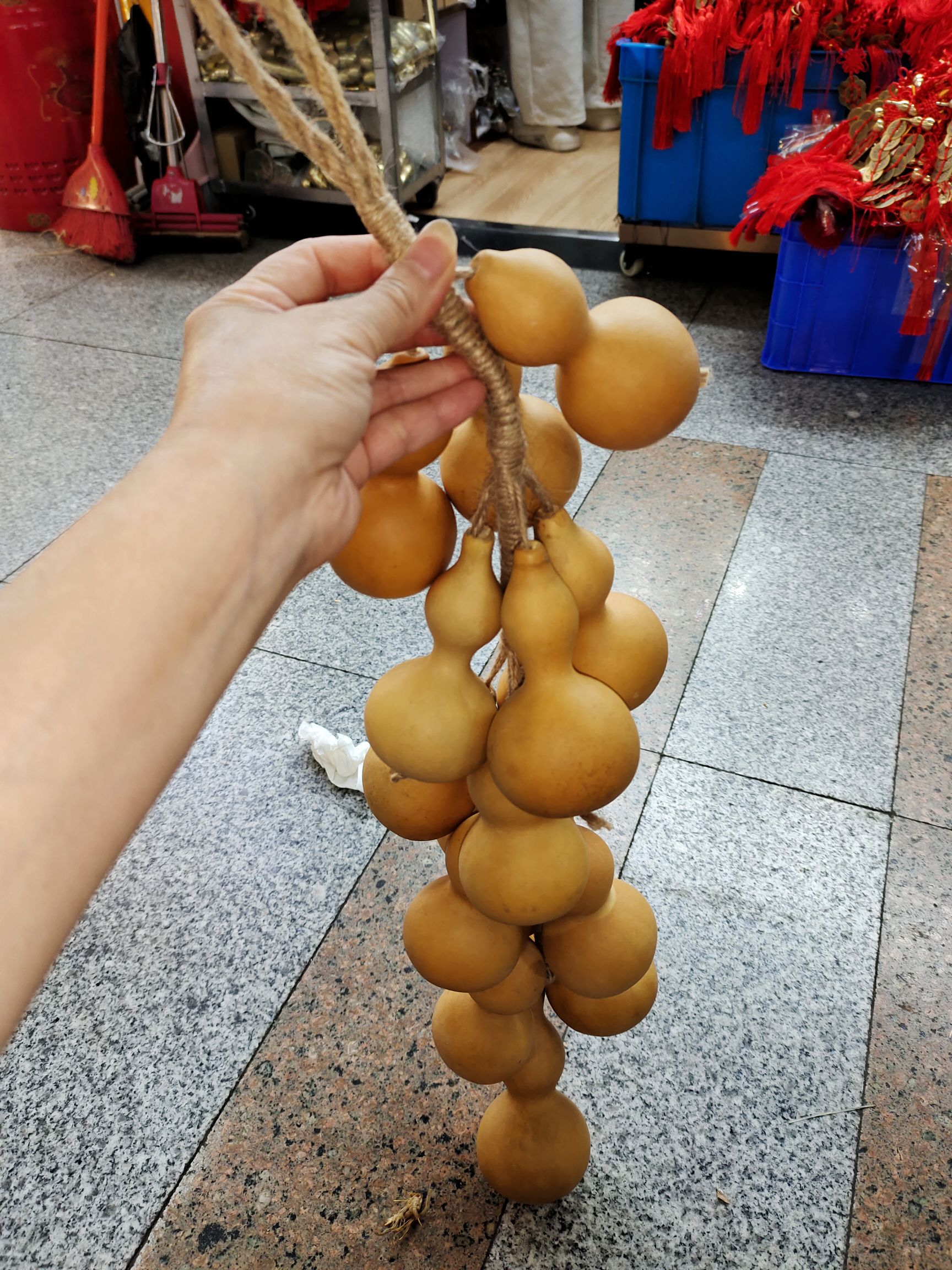 天然葫芦/天然小葫芦/葫芦白底实物图