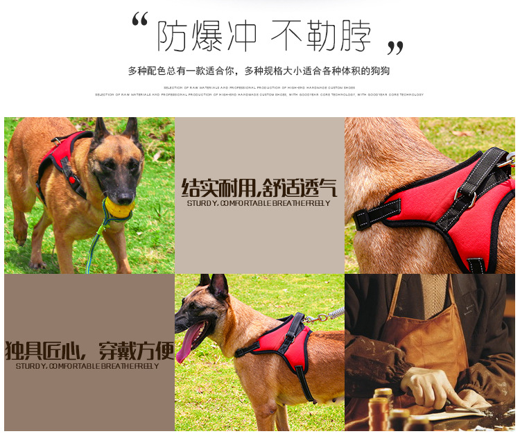 宠物胸背/骨头胸背带白底实物图