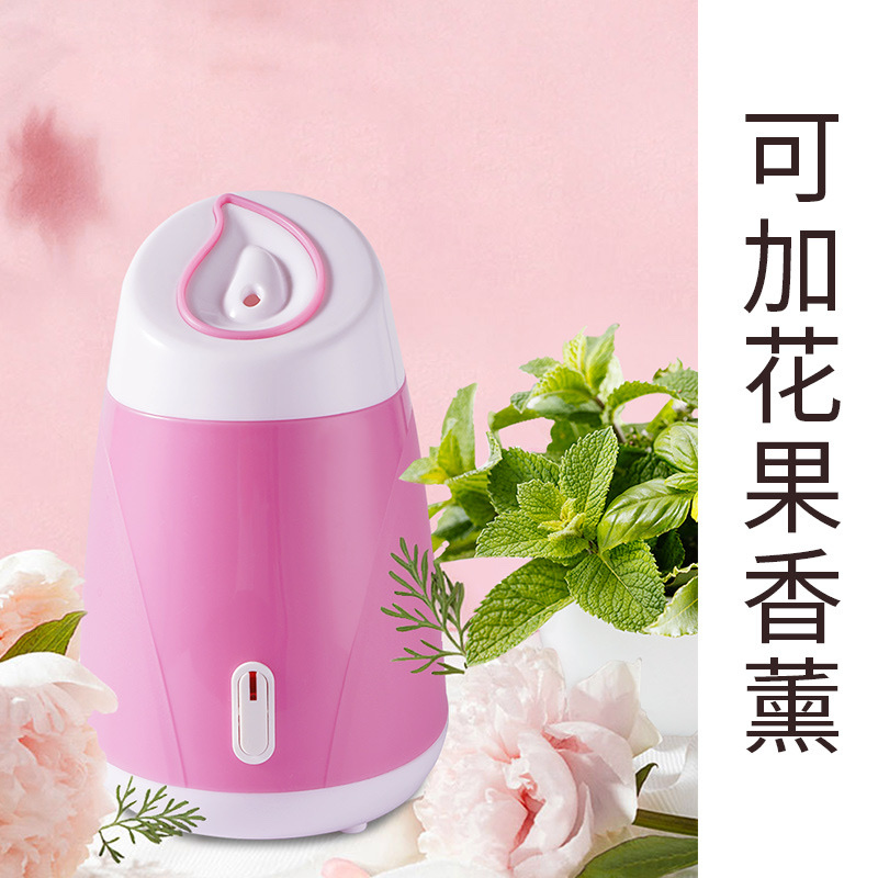 Face steamer -001 Item Picture
