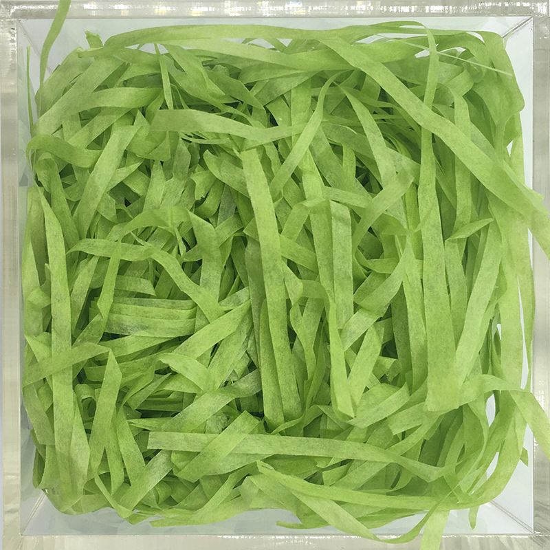 拉菲草/拉菲草/拉菲草白底实物图